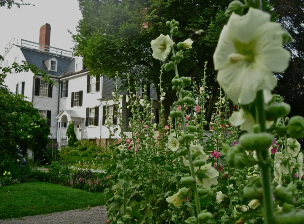 Visitors Reviews of Ropes Mansion Salem