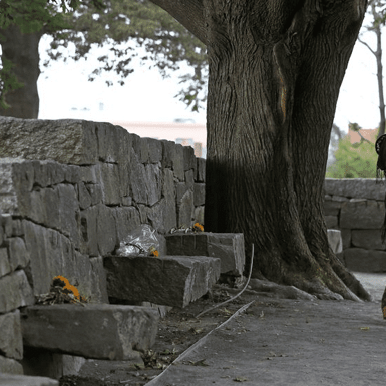 Salem Witch Trial Memorial Questions