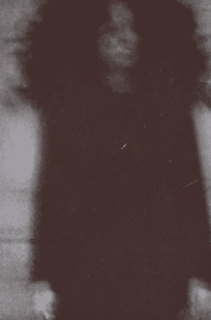 Joshua Ward House ghost