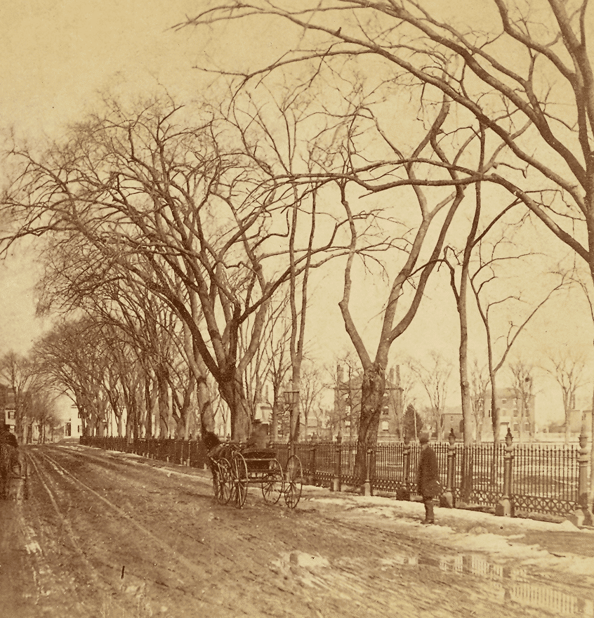 Old Photo Of Salem Common