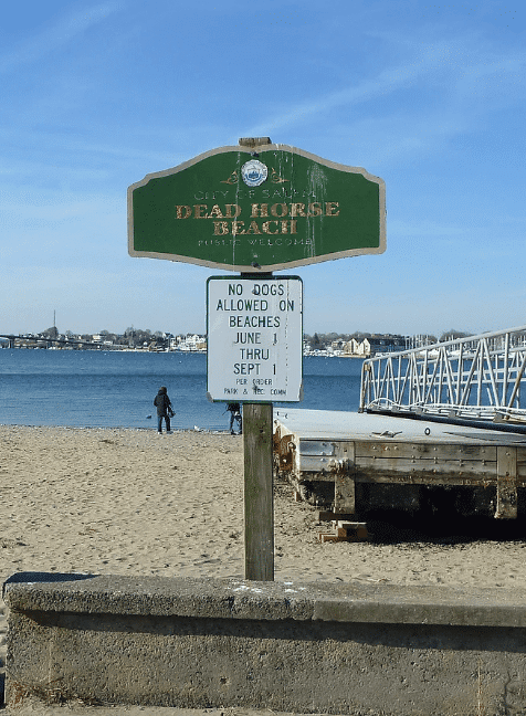 Historical significance of Dead Horse Beach Salem