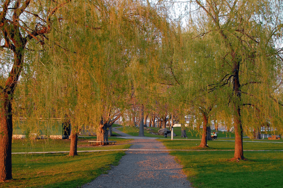 Salem Willow Park
