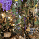 places to learn about authentic witchcraft in Salem