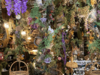 places to learn about authentic witchcraft in Salem