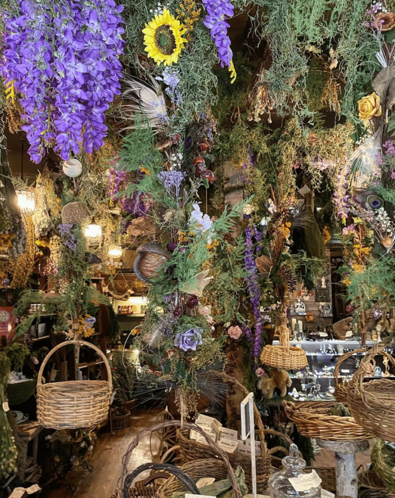 places to learn about authentic witchcraft in Salem