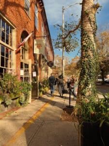 A photo of a street in Salem, Massachusetts, showing a red brick building with plants outside. People walk along the sidewalk under the shade of a tree with ivy-covered branches. The sky is clear, and the afternoon sunlight casts a warm glow over the scene.