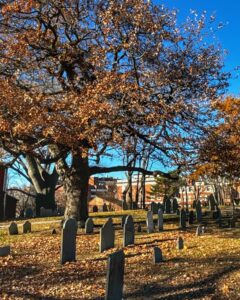 Rows of old gravestones stand beneath a large tree with golden leaves at Old Burying Point Cemetery in Salem, Massachusetts. Sunlight filters through the branches, casting shadows across the ground covered in fallen leaves.