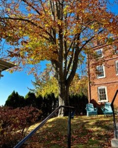 A vibrant autumn scene at The Merchant Hotel in Salem, Massachusetts, featuring colorful leaves, tall trees, and inviting blue chairs on the lawn.