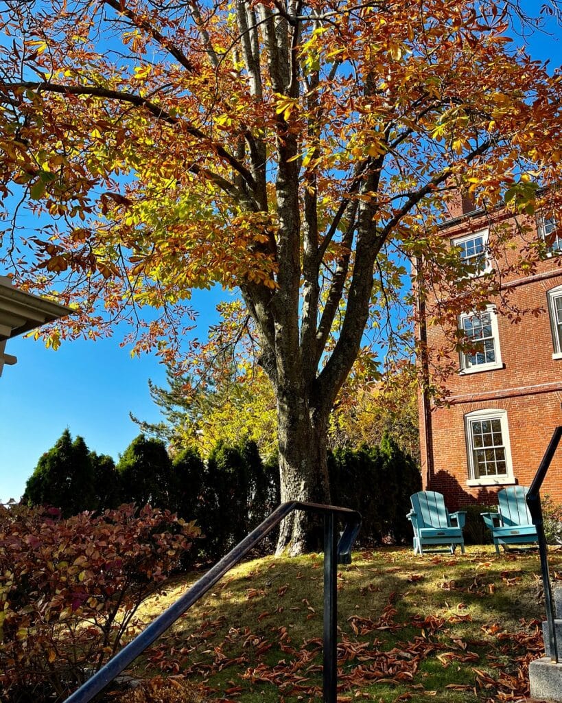 A vibrant autumn scene at The Merchant Hotel in Salem, Massachusetts, featuring colorful leaves, tall trees, and inviting blue chairs on the lawn.