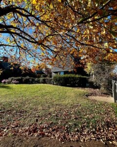 Golden autumn leaves frame the lawn and gardens near the House of the Seven Gables in Salem, Massachusetts.