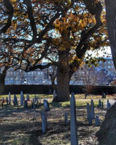 Old gravestones at Old Burying Point Cemetery in Salem, Massachusetts, stand under a large tree with golden leaves. Sunlight filters through the branches, casting long shadows across the ground.