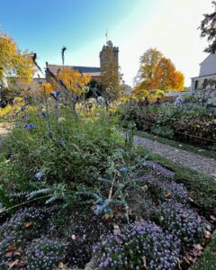 Flower garden with purple and blue blossoms in Salem, Massachusetts, with a stone building and autumn trees in the background.