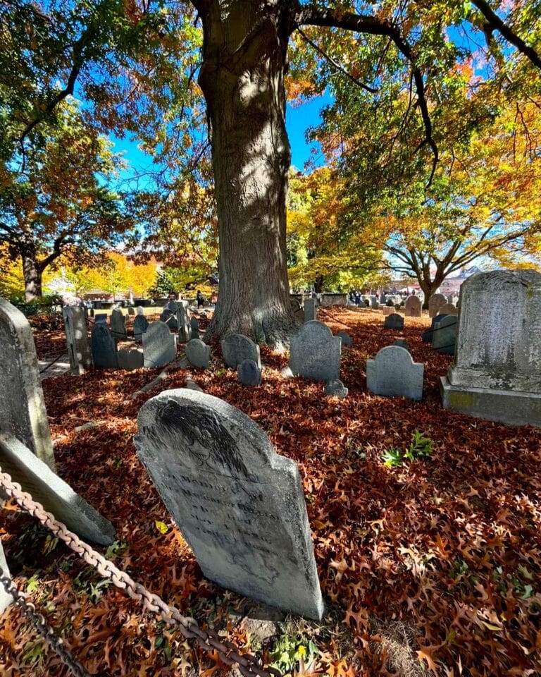 A large tree casting shadows over gravestones at the Old Burying Point Cemetery in Salem, Massachusetts, surrounded by vibrant autumn leaves and sunlight.