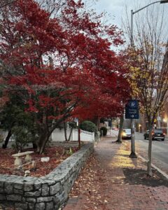 A quiet street in Salem, Massachusetts, lined with red and yellow autumn leaves. A stone wall and a tree with vibrant red foliage highlight the charm of the season.