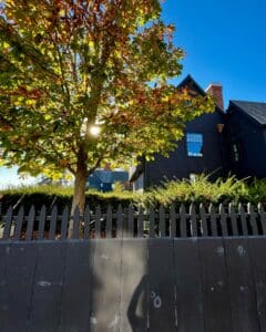 A vibrant tree with autumn foliage and sunlight filtering through its leaves, casting shadows on a black wooden fence near the House of the Seven Gables in Salem, Massachusetts.