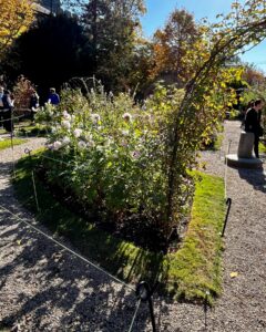 A garden at the Ropes Mansion in Salem, Massachusetts, featuring an archway covered in greenery, blooming flowers, and gravel paths, with visitors enjoying the sunny autumn day.