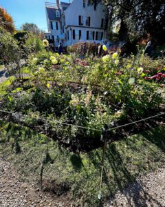 Flower garden in front of the historic Ropes Mansion in Salem, Massachusetts on a sunny day.