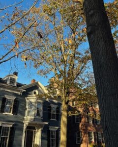 A tree with fall leaves stands in front of classic New England-style homes in Salem, Massachusetts. The sunlight highlights the architectural details of the houses and the warm autumn colors.