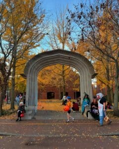 A busy Halloween scene on Essex Street in Salem Massachusetts with people in costumes walking under a stone arch surrounded by fall trees with bright orange leaves.