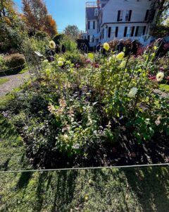 A vibrant garden bed at the Ropes Mansion in Salem, Massachusetts, filled with blooming flowers of various colors, with the historic white mansion and autumn trees in the background.