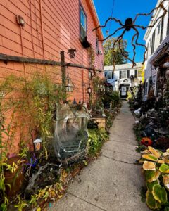 A Halloween-themed alleyway in Salem Massachusetts featuring a giant spider decoration, plants, pumpkins, and spooky details.