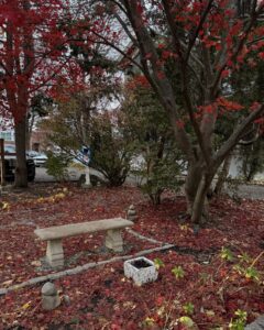 A stone bench in a peaceful garden in Salem, Massachusetts, surrounded by red maple leaves and small stone decorations.