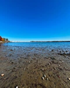 A view of Salem Harbor in Massachusetts, featuring a rocky tidal shoreline with seaweed, calm blue waters, and a clear sky extending over the horizon.