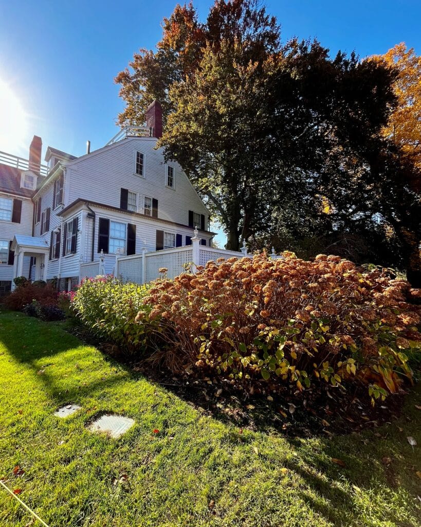 The Ropes Mansion in Salem, Massachusetts, with dried hydrangeas and fall foliage in the garden, bathed in autumn sunlight.
