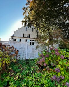 The Ropes Mansion in Salem, Massachusetts, with a white fence, purple hydrangeas, and dried plants in the garden during autumn.
