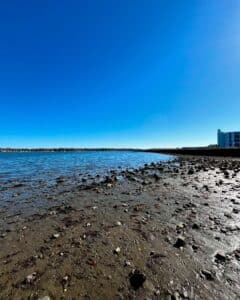 horeline of Salem Harbor in Salem, Massachusetts, featuring calm waters, scattered rocks, and buildings on the horizon under a clear blue sky.