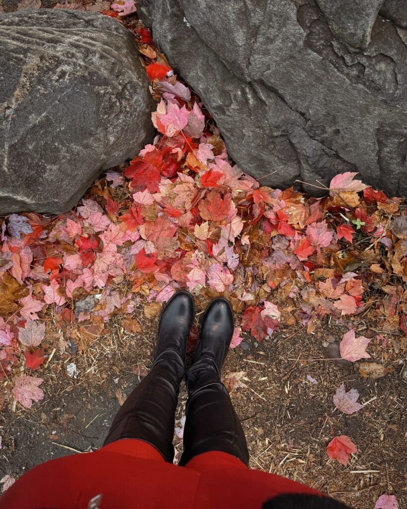 A person standing in black boots and red clothing on fallen red and pink autumn leaves near large rocks in Salem, Massachusetts.