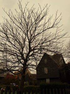 A leafless tree stands tall, its bare branches spread like intricate lace against a cloudy sky, with the dark silhouette of the House of the Seven Gables in the background.