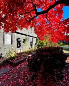 Vibrant red autumn leaves frame the John Ward House in Salem Massachusetts, highlighting its historic wooden structure with diamond-paned windows.