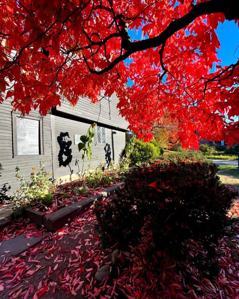 Vibrant red autumn leaves frame the John Ward House in Salem Massachusetts, highlighting its historic wooden structure with diamond-paned windows.