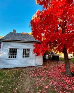 A stunning red autumn tree with fallen leaves surrounding a historic wooden building near the John Ward House in Salem Massachusetts.