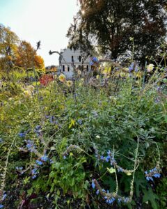 A lush garden filled with colorful flowers in front of the Ropes Mansion in Salem, Massachusetts, with sunlight streaming through the trees and the historic white house in the background.