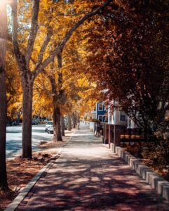 A brick sidewalk in Salem, Massachusetts, surrounded by golden autumn leaves and historic homes, with warm sunlight filtering through the trees.