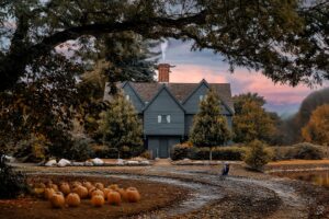 A stunning artistic rendering of the Salem Witch House, surrounded by trees and pumpkins under a vibrant sunset sky, with a black cat sitting near the cobblestone path.