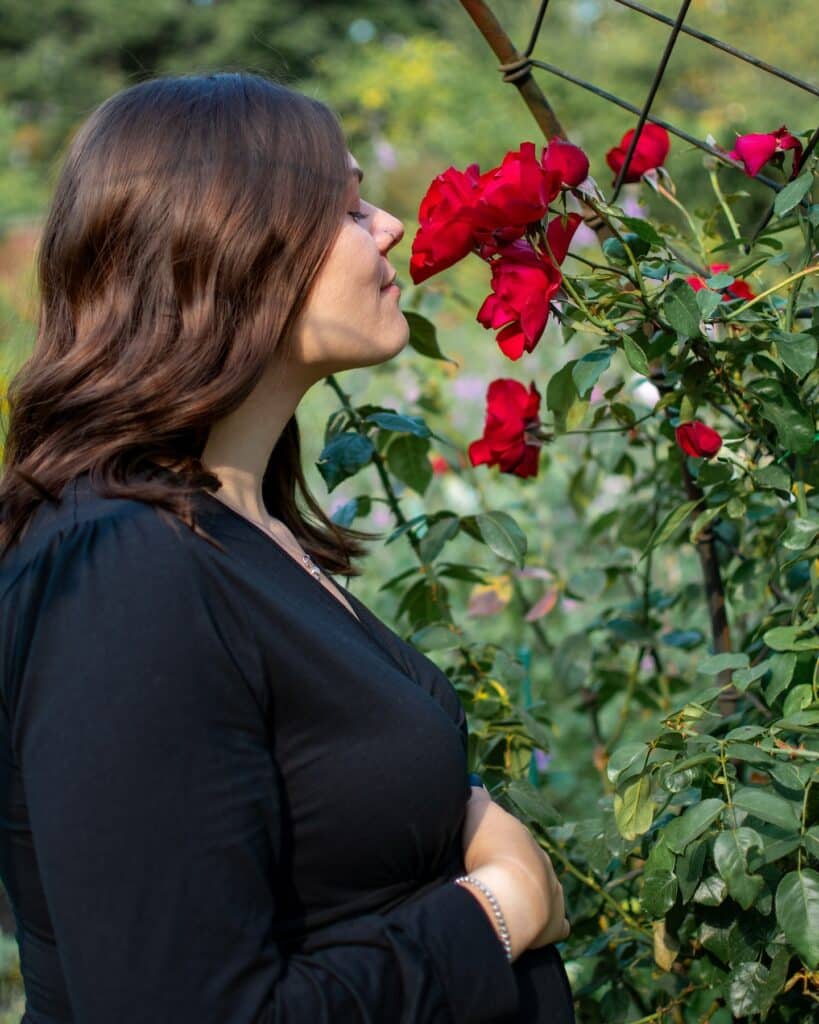 A pregnant woman in a black dress gently smelling vibrant red roses in the lush Ropes Mansion Garden, located in Salem, Massachusetts.