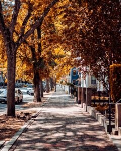 A brick sidewalk lined with vibrant autumn trees and historic homes in Salem, Massachusetts, bathed in golden sunlight.