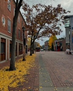 Essex Street in Salem, Massachusetts, lined with brick sidewalks covered in golden leaves, with a red trolley in the distance and historic buildings on either side creating a cozy fall atmosphere.