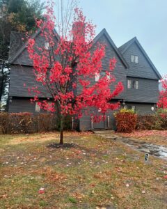 The historic Witch House in Salem, Massachusetts, surrounded by a bright red tree in the foreground, adding a splash of autumn color to the dark gray exterior of the building.